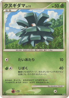 Japanese Pineco (クヌギダマ)