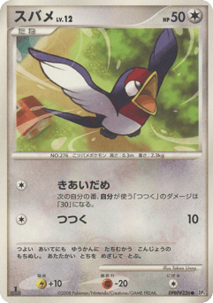 Japanese Taillow (スバメ)