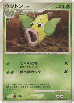 Japanese Weepinbell (ウツドン)