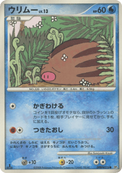 Japanese Swinub (ウリムー)