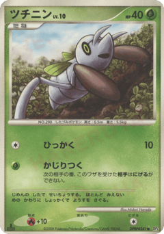 Japanese Nincada (ツチニン)