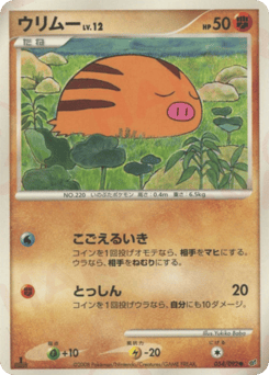 Japanese Swinub (ウリムー)