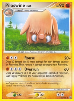Piloswine Stormfront #46