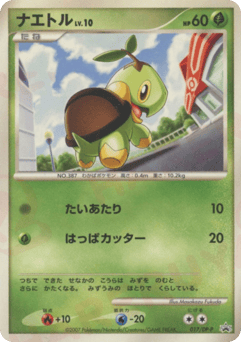 Japanese Turtwig (ナエトル)