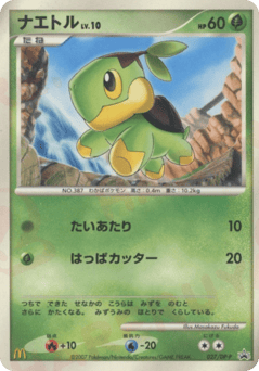 Japanese Turtwig (ナエトル)