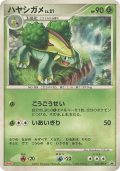 Japanese Grotle (ハヤシガメ)