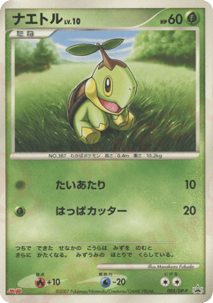 Japanese Turtwig (ナエトル)