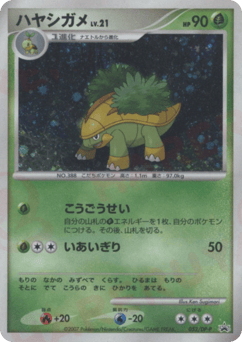 Japanese Grotle (ハヤシガメ)
