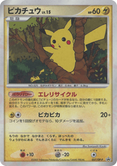 Japanese Pikachu (ピカチュウ)
