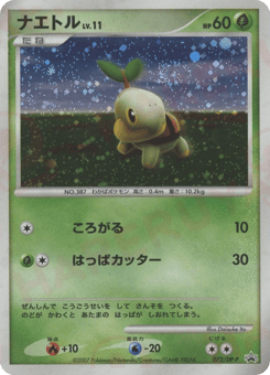Japanese Turtwig (ナエトル)