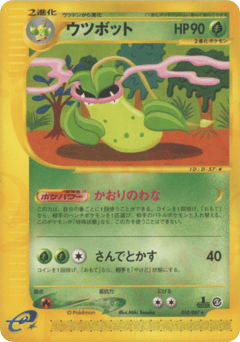 Japanese Erika's (ウツボット)