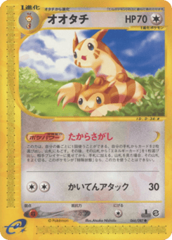 Japanese Furret (オオタチ)