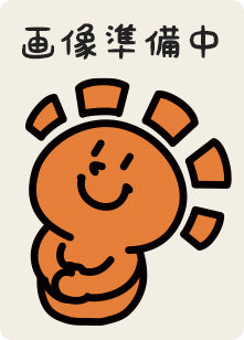 Japanese Magneton (レアコイル)
