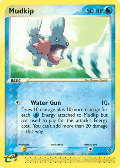 Mudkip Dragon #65