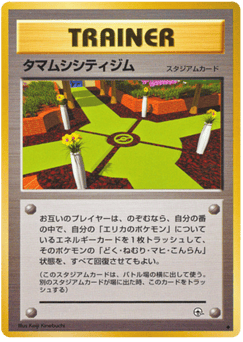 Japanese タマムシシティジム (タマムシシティジム)