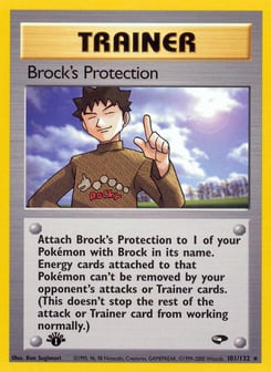 Brock's Protection Gym Challenge #101