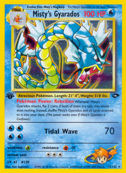 Misty's Gyarados Gym Challenge #13