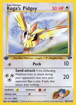 Koga's Pidgey Gym Challenge #80