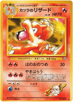 Japanese Charmeleon (カツラのリザード)