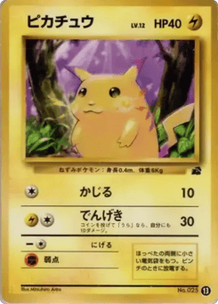 Japanese Pikachu (ピカチュウ)