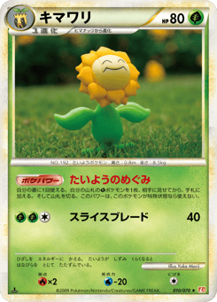 Japanese Sunflora (キマワリ)
