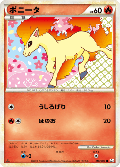 Japanese Ponyta (ポニータ)