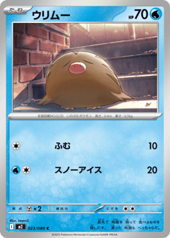 Japanese Swinub (ウリムー)