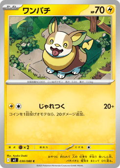 Japanese Yamper (ワンパチ)