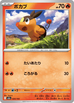 Japanese Tepig (ポカブ)