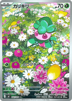 Japanese Fomantis (カリキリ)