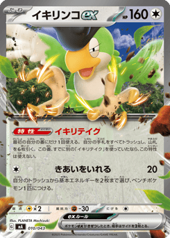 Japanese Squawkabilly (イキリンコex)