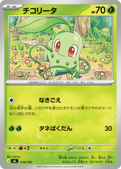 Japanese Chikorita (チコリータ)