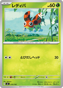 Japanese Ledyba (レディバ)