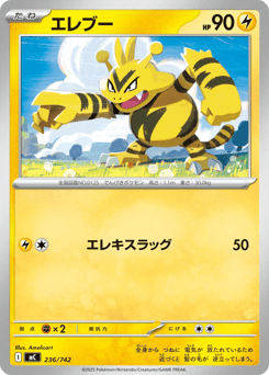 Japanese Electabuzz (エレブー)