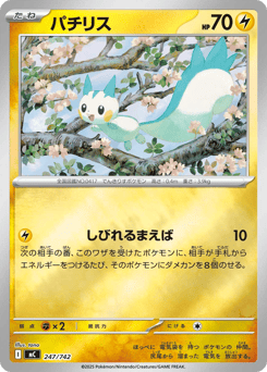 Japanese Pachirisu (パチリス)