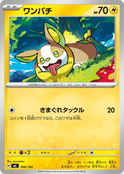 Japanese Yamper (ワンパチ)