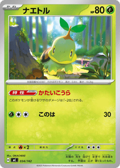 Japanese Turtwig (ナエトル)