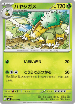 Japanese Grotle (ハヤシガメ)