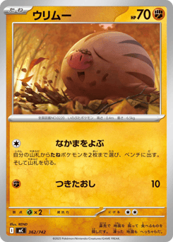 Japanese Swinub (ウリムー)