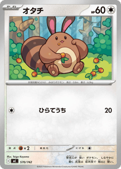Japanese Sentret (オタチ)