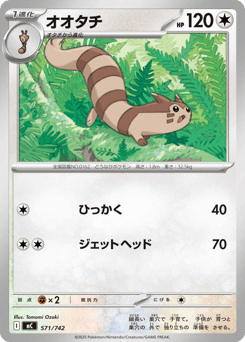 Japanese Furret (オオタチ)
