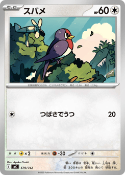 Japanese Taillow (スバメ)