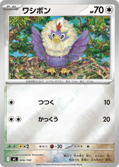Japanese Rufflet (ワシボン)