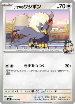 Japanese Rufflet (アオキのワシボン)