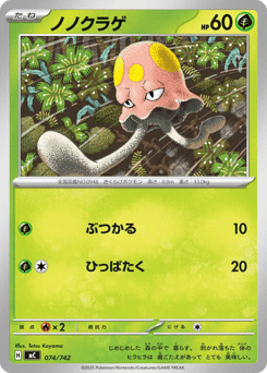 Japanese Toedscool (ノノクラゲ)