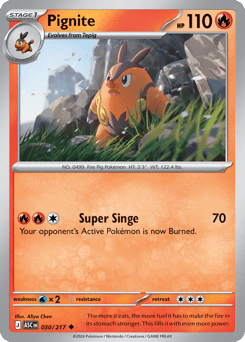 Pignite Ascended Heroes #30