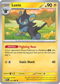 Luxio Perfect Order #27