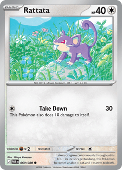 Rattata Perfect Order #60