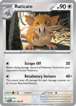 Raticate Perfect Order #61