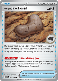 Antique Jaw Fossil Perfect Order #68